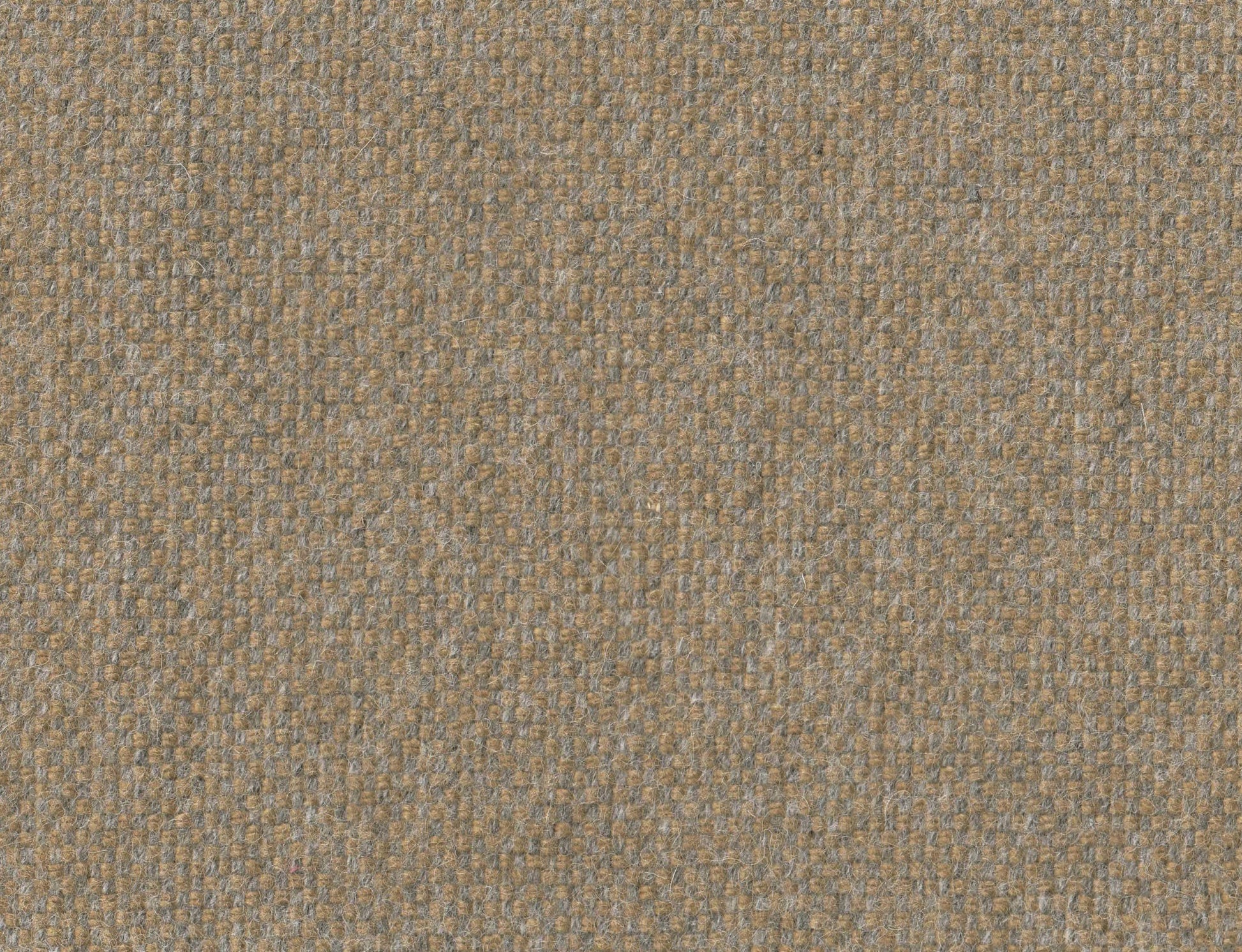 381525.jpg