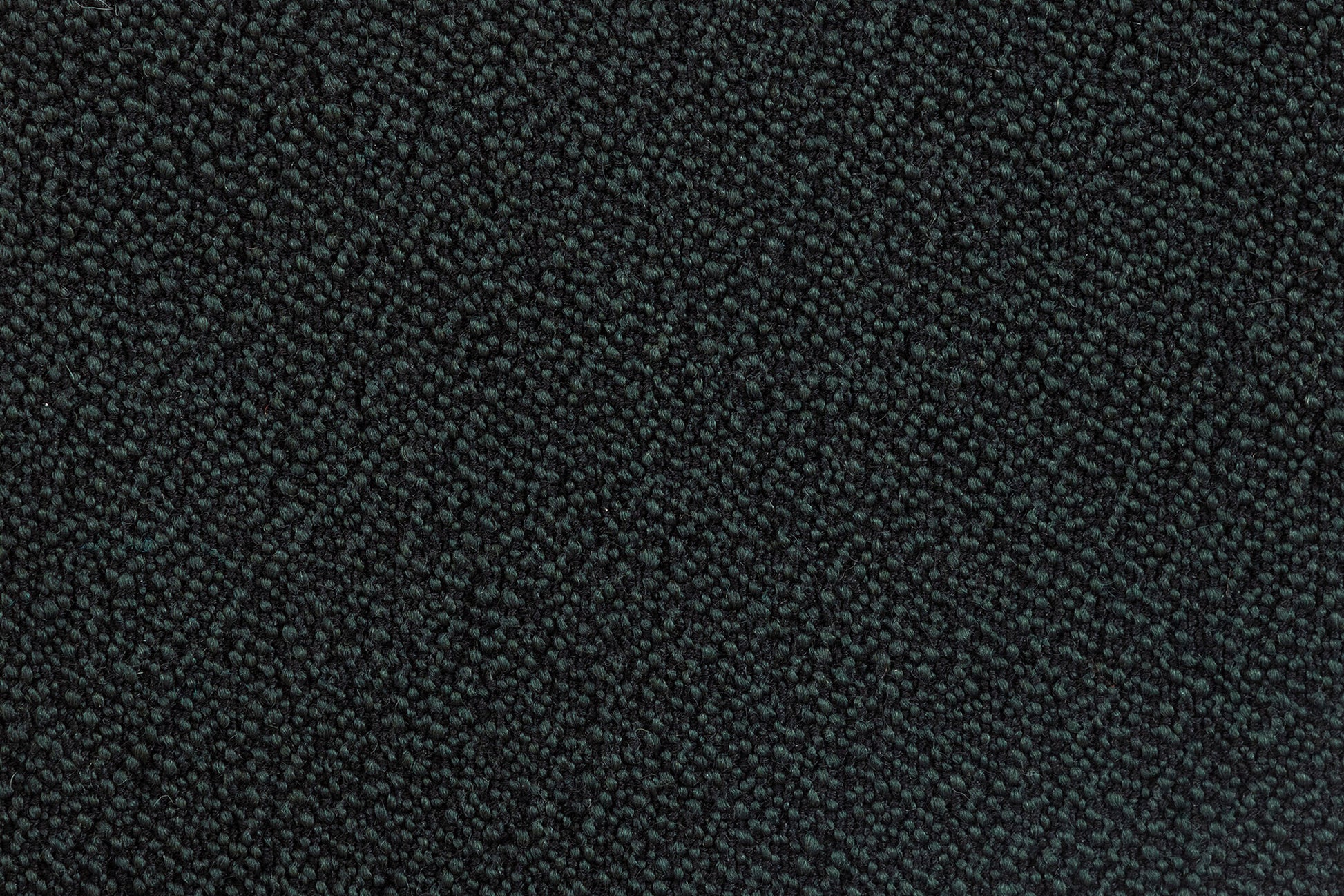 381535.jpg