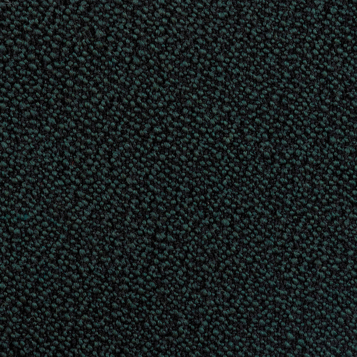 381554.jpg