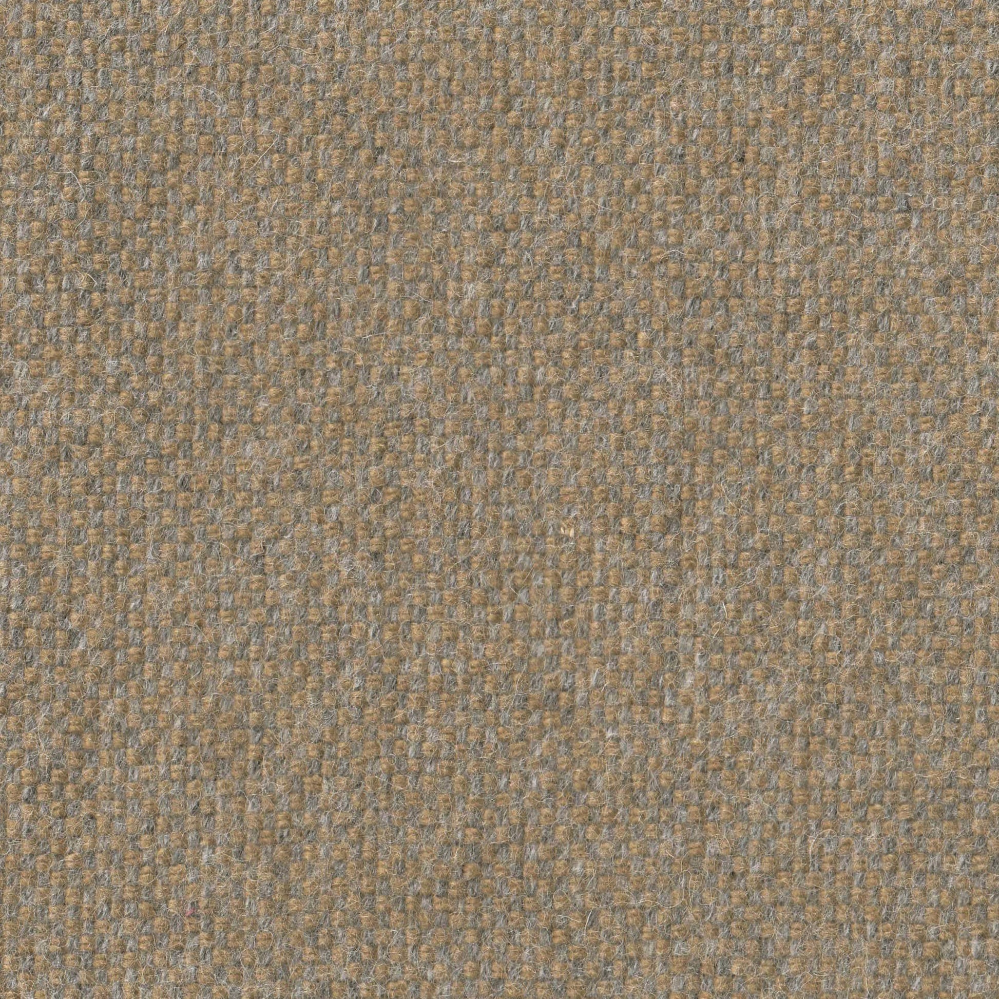 381563.jpg