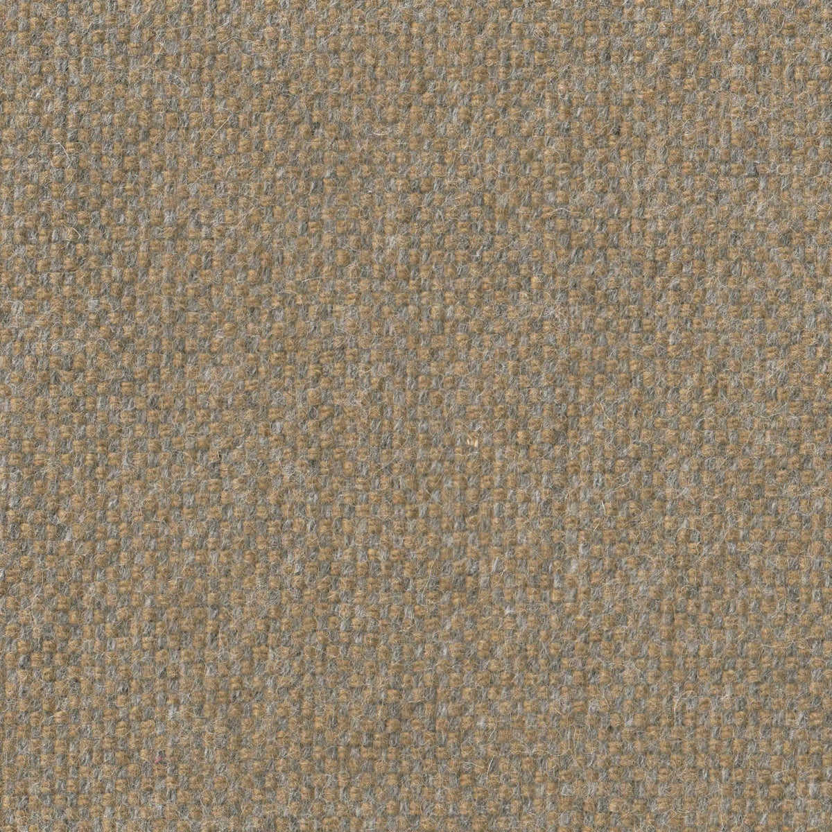 381563.jpg