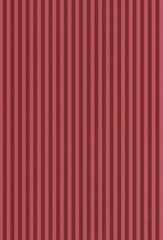 papier-peint-crazy-gustave-maison-janette-1