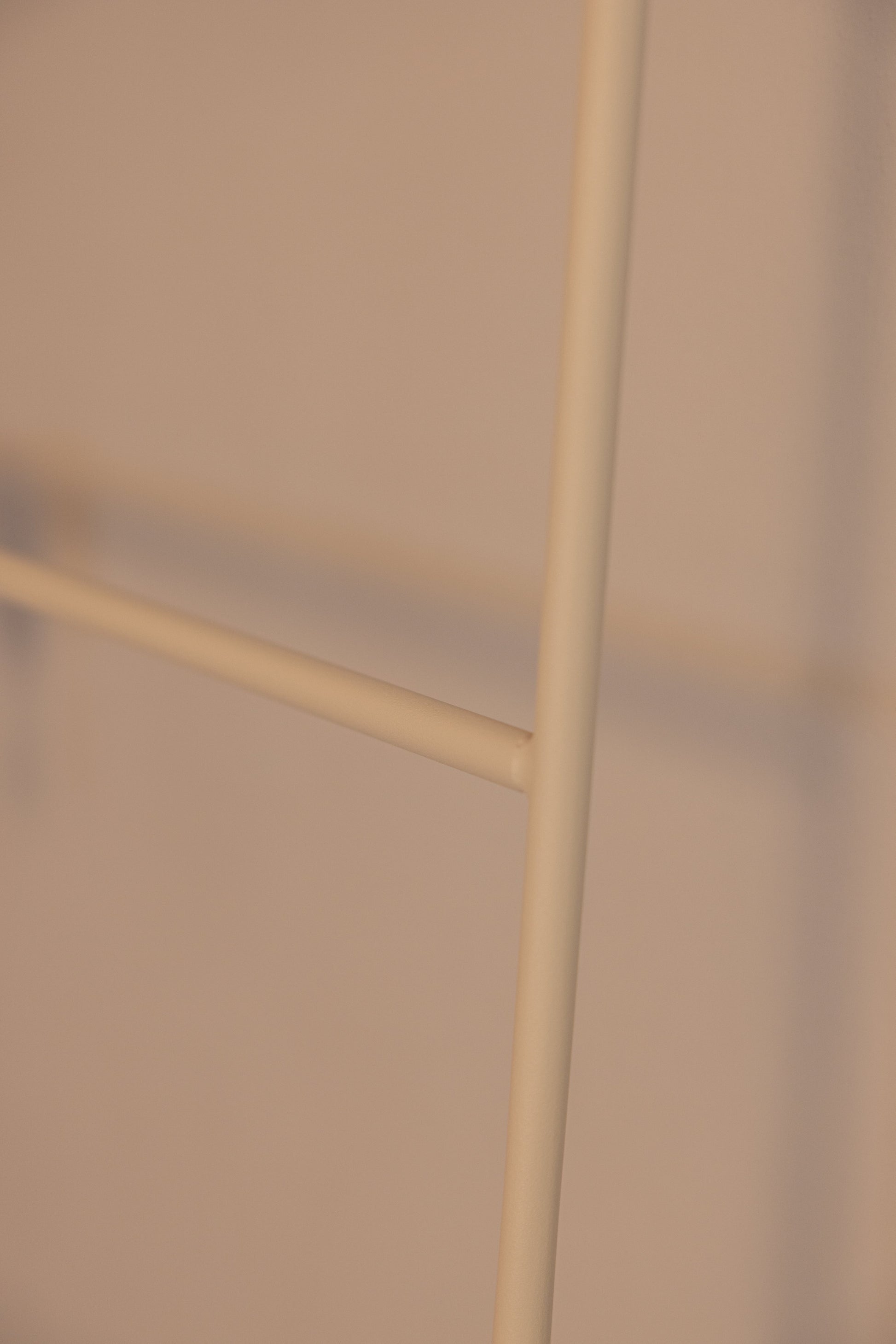 384554.jpg