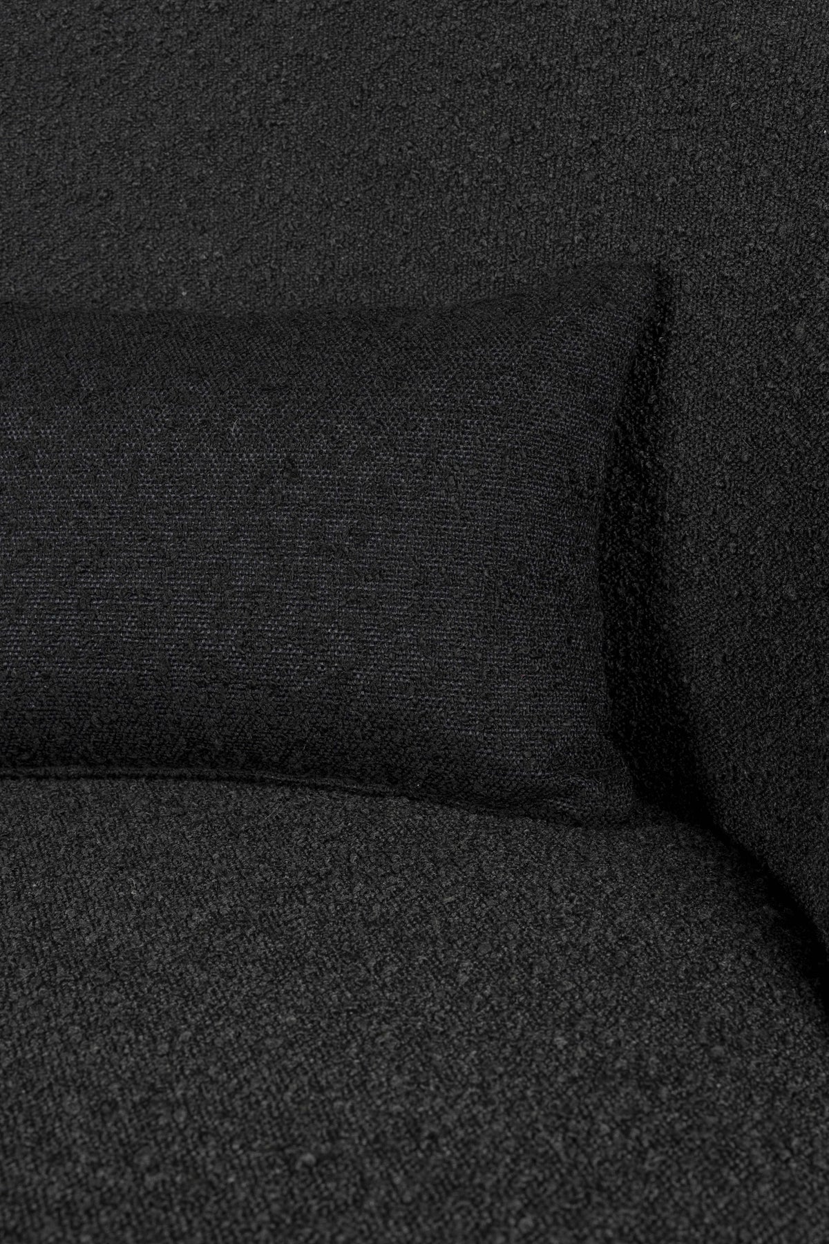 385890.jpg