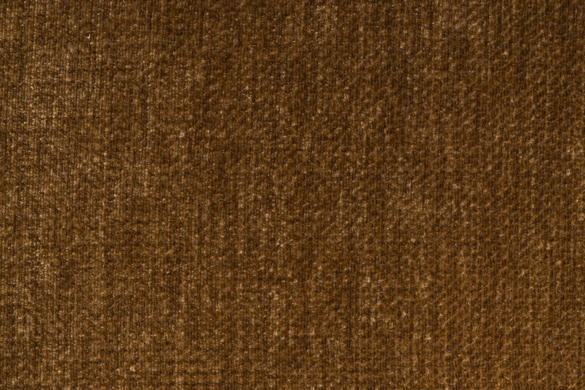 385965.jpg