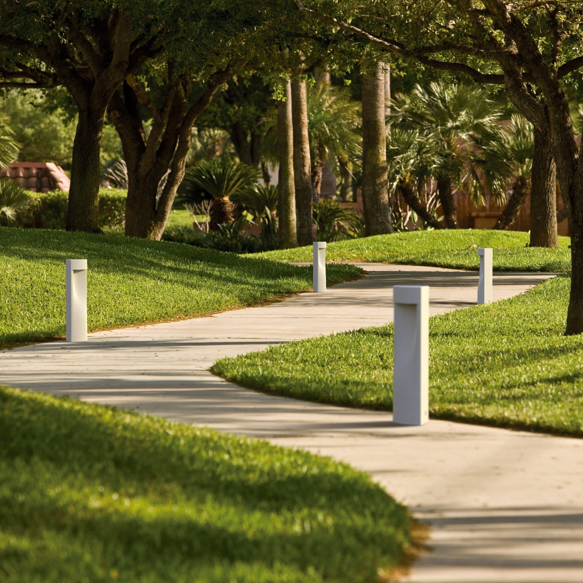 389192.jpg