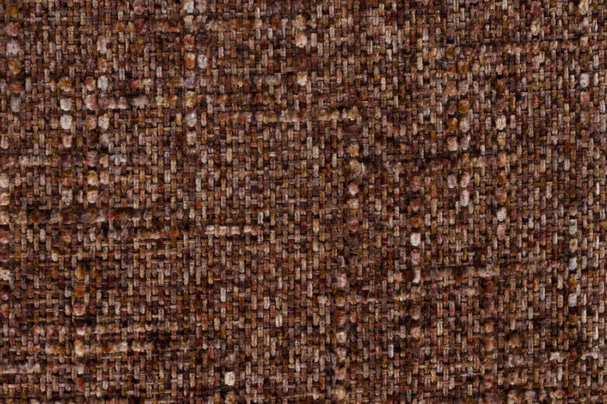 392510.jpg