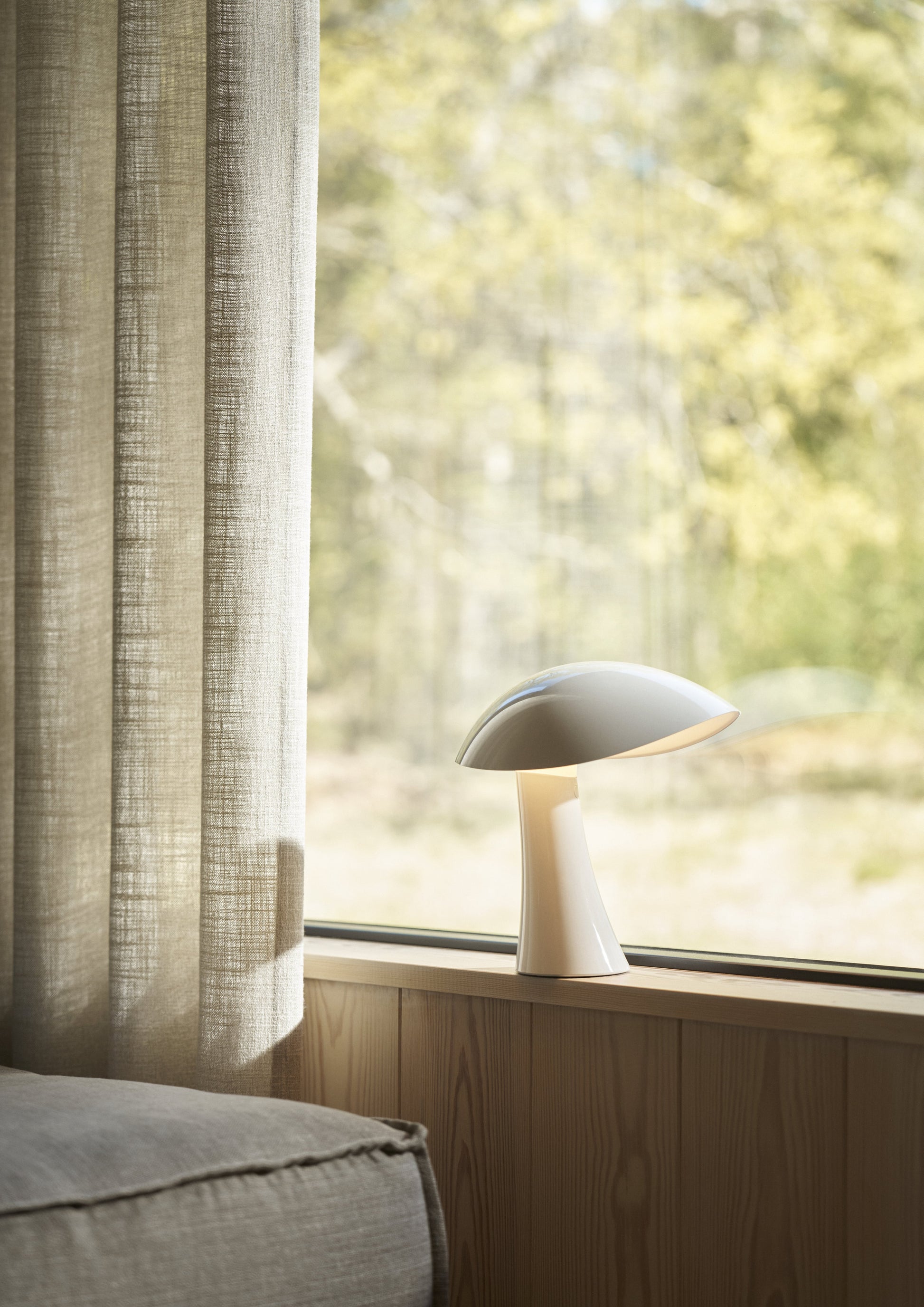 395803.jpg