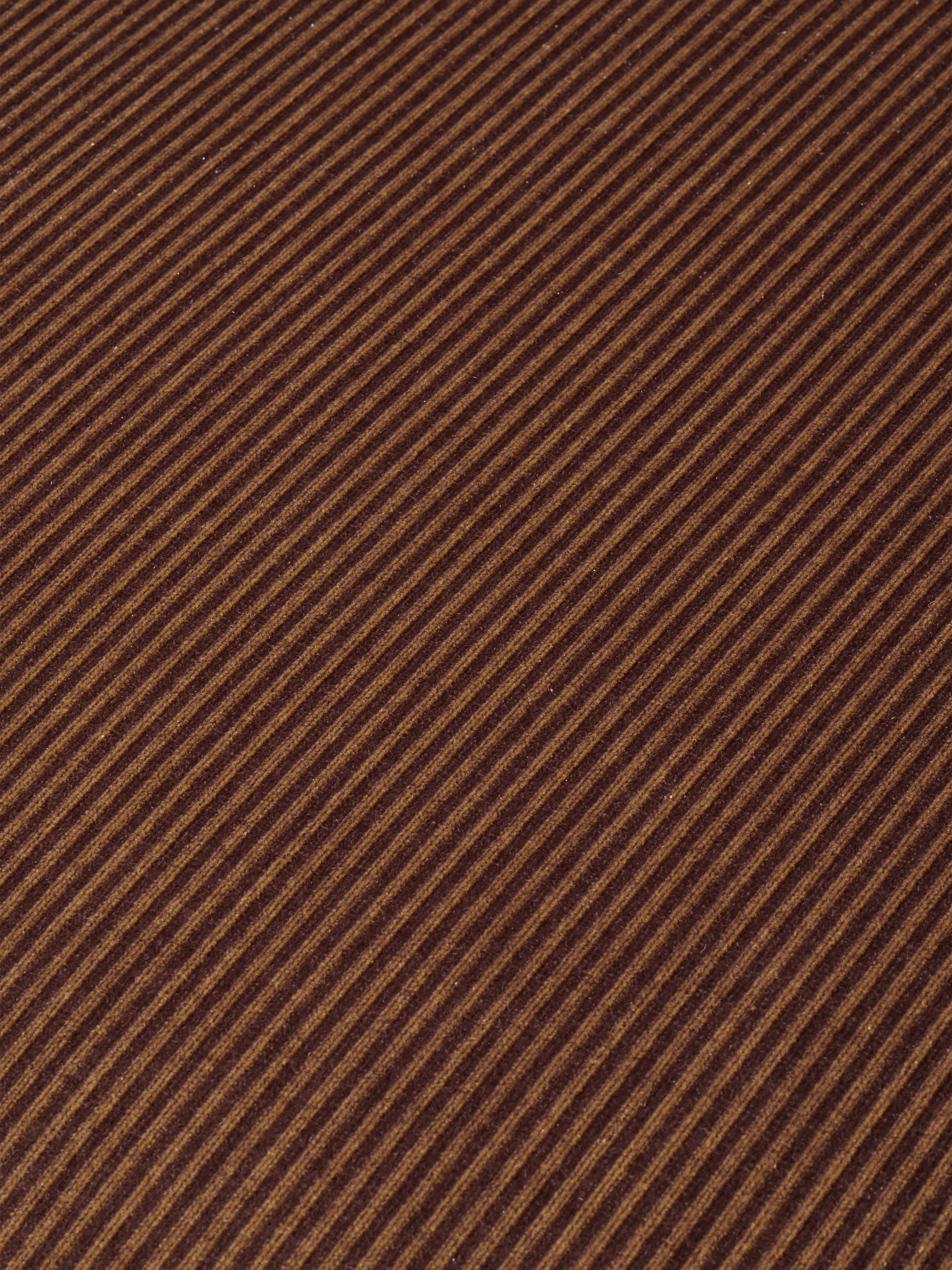 396555.jpg