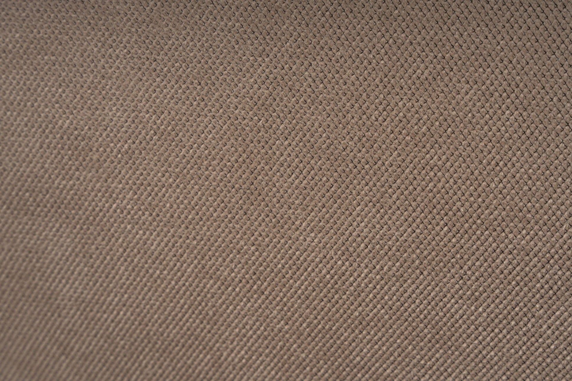 398938.jpg