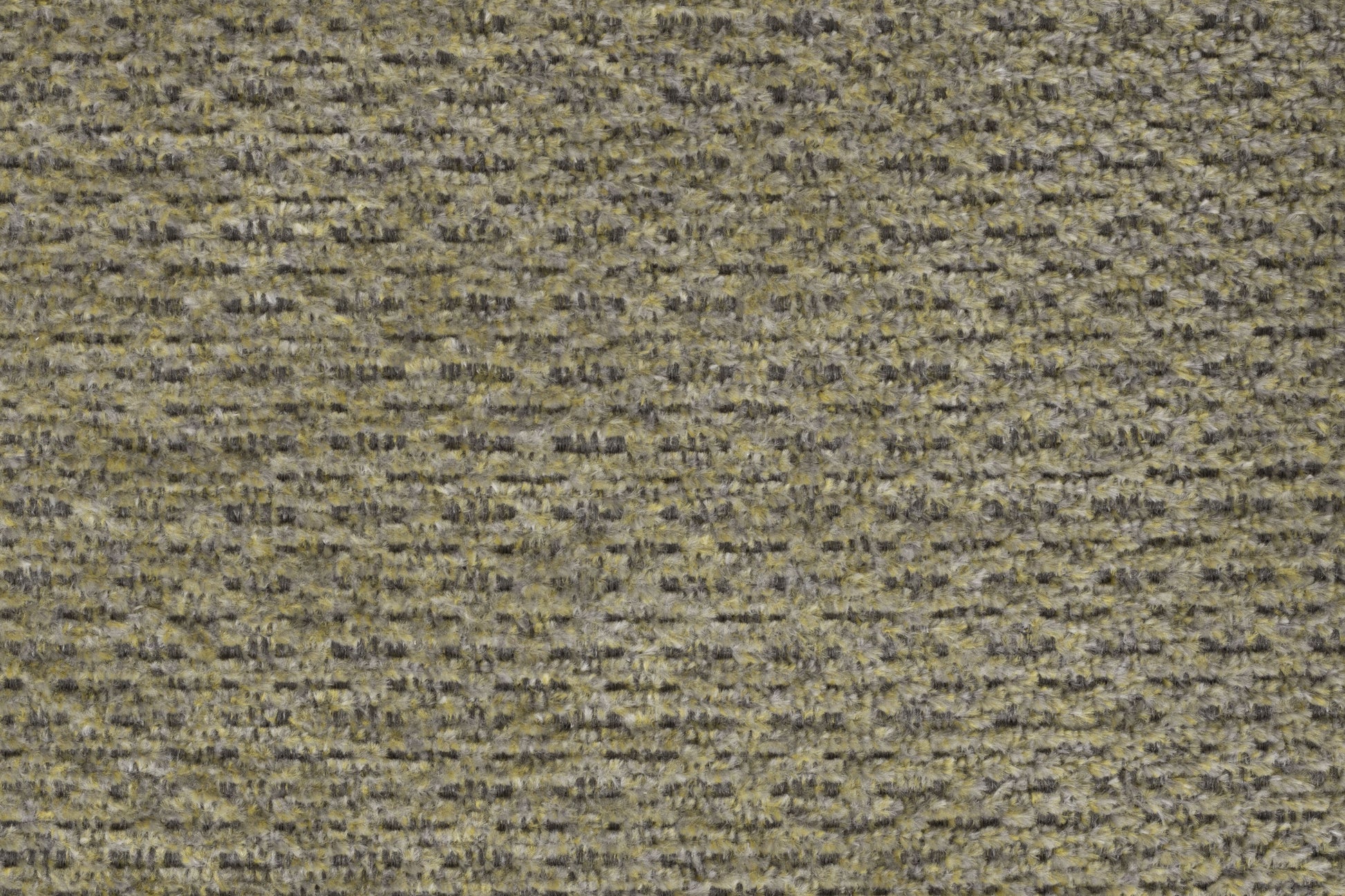 402474.jpg