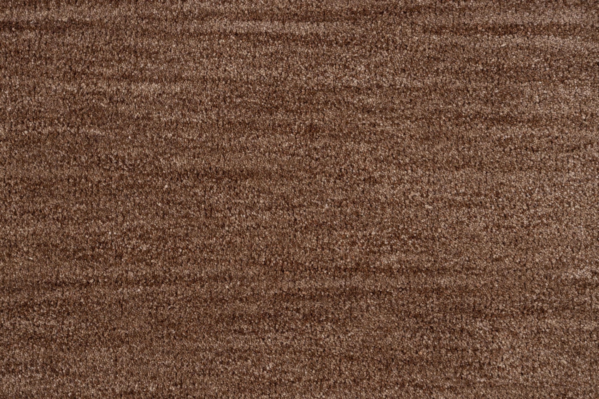 402650.jpg