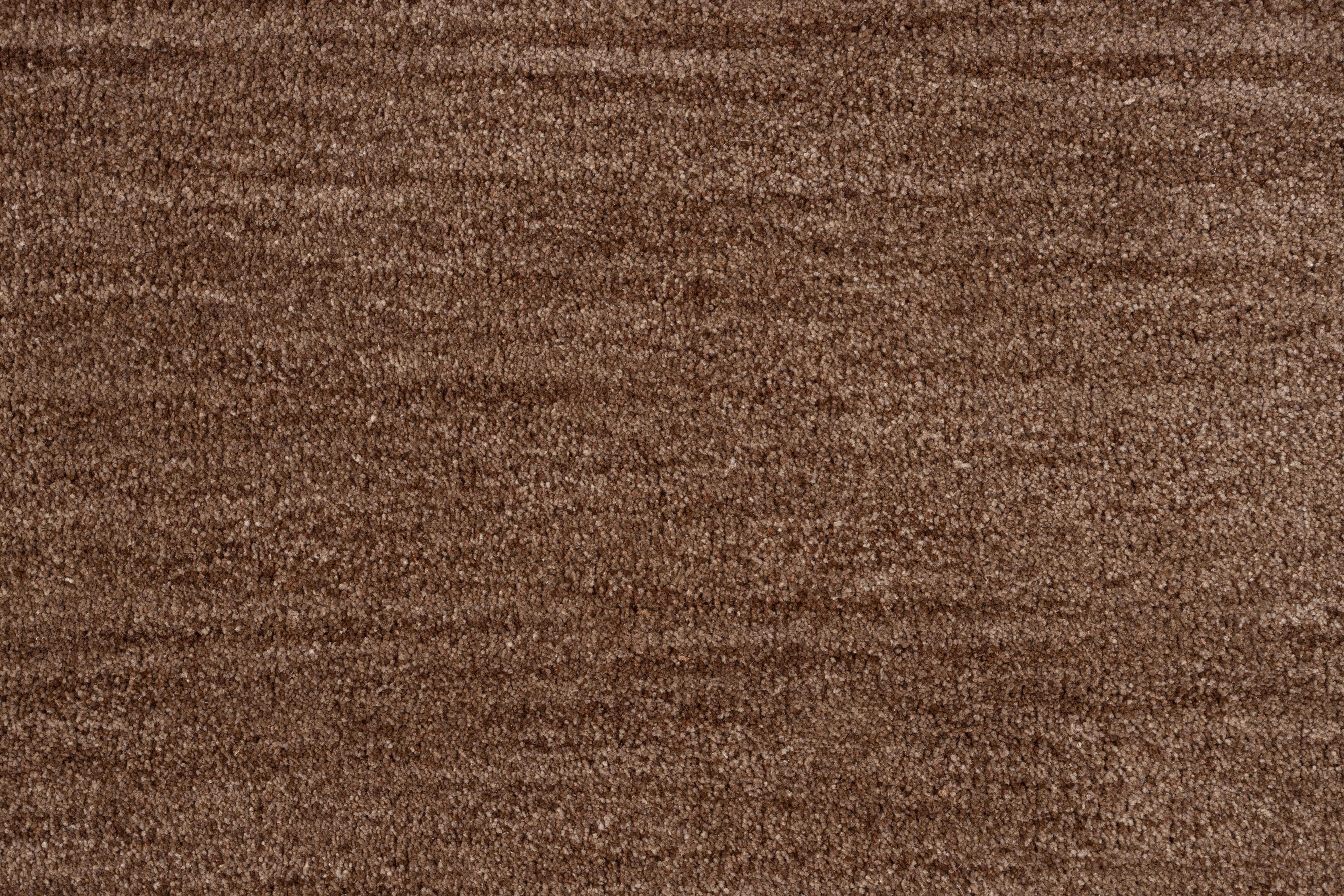 402650.jpg