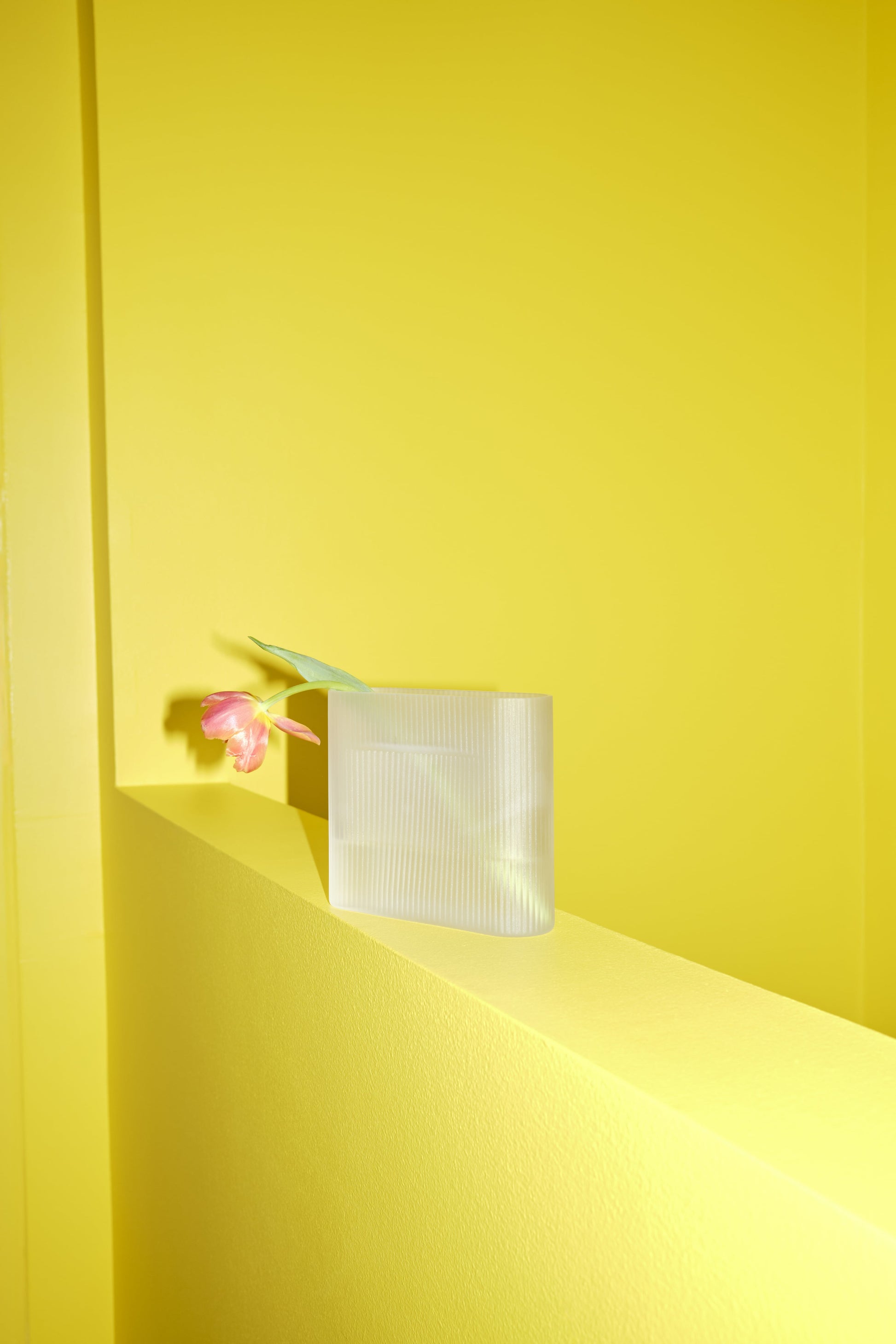402993.jpg