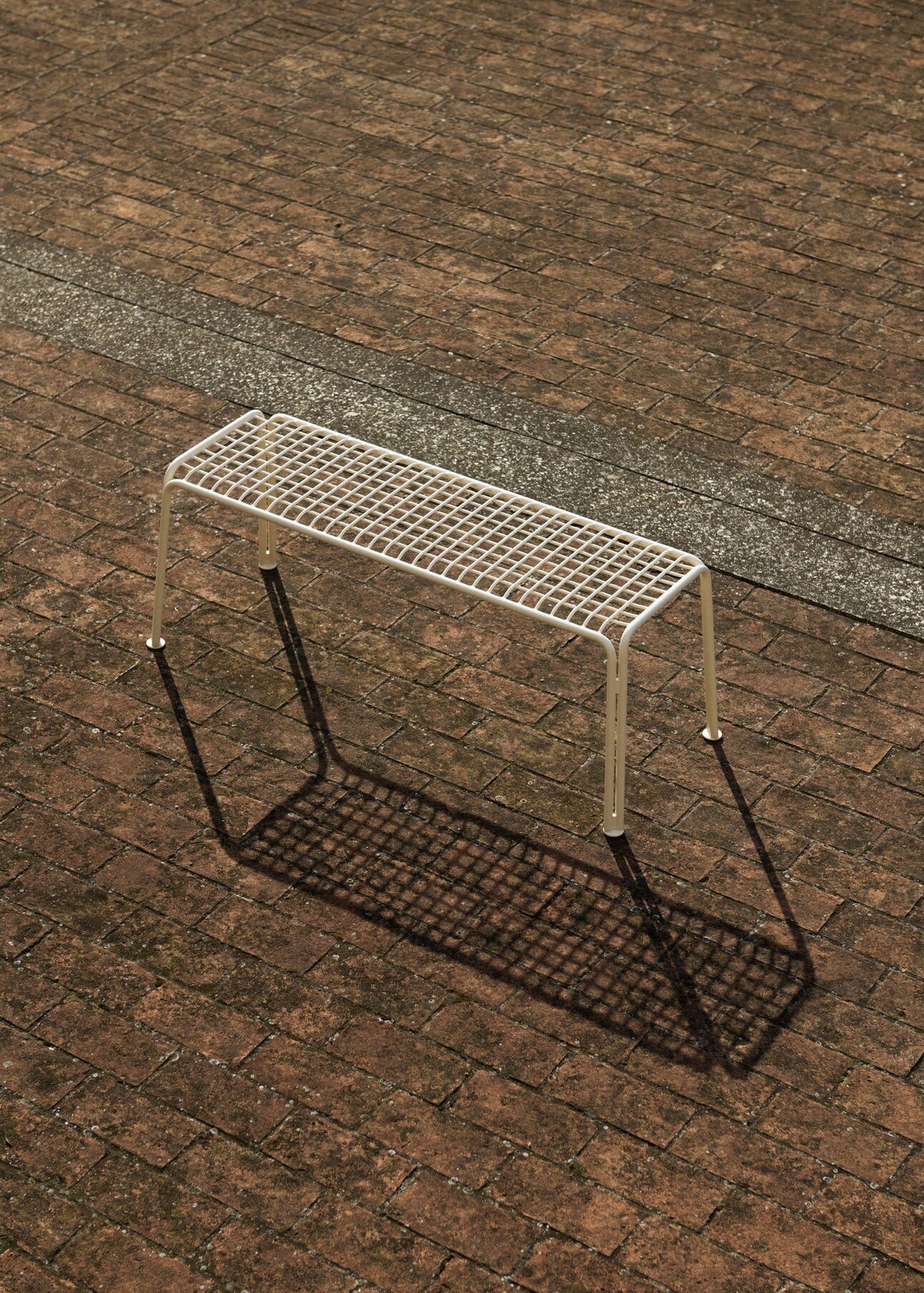 403573.jpg