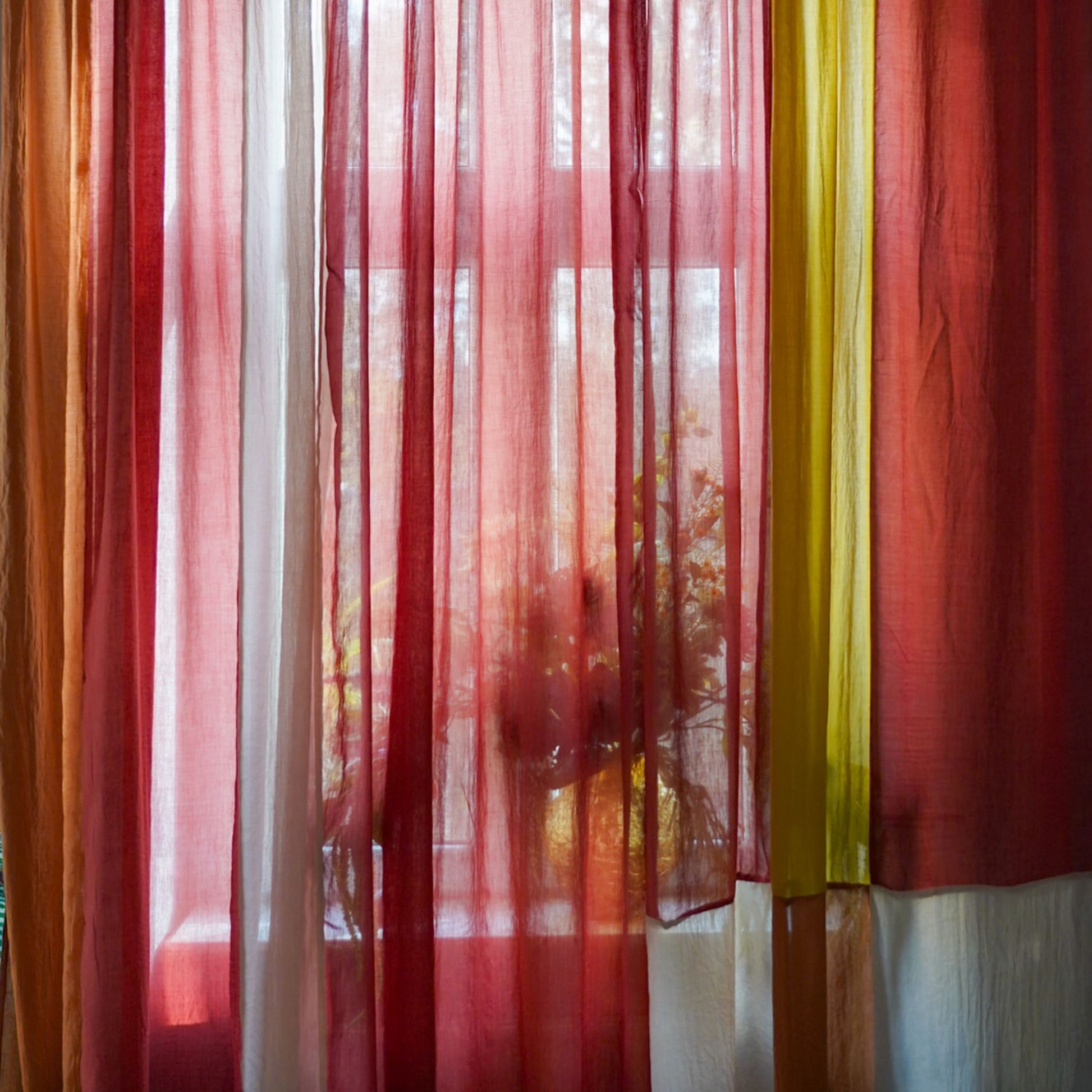 403636.jpg