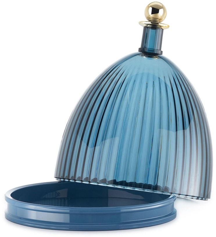 vide-poche-en-thermoplastique-bleu-24x30cm-la-coupole-kartell-3