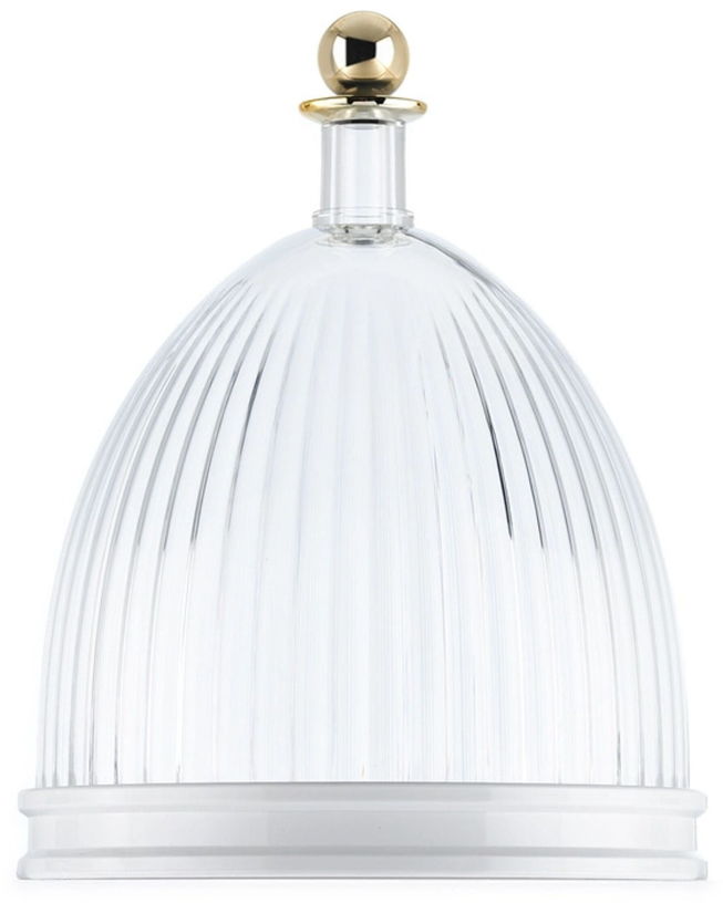 vide-poche-en-thermoplastique-transparent-24x30cm-la-coupole-kartell-2