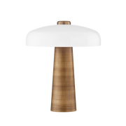 Table lamp in steel and patinated brass 41x48cm Lush - Troy Lighting