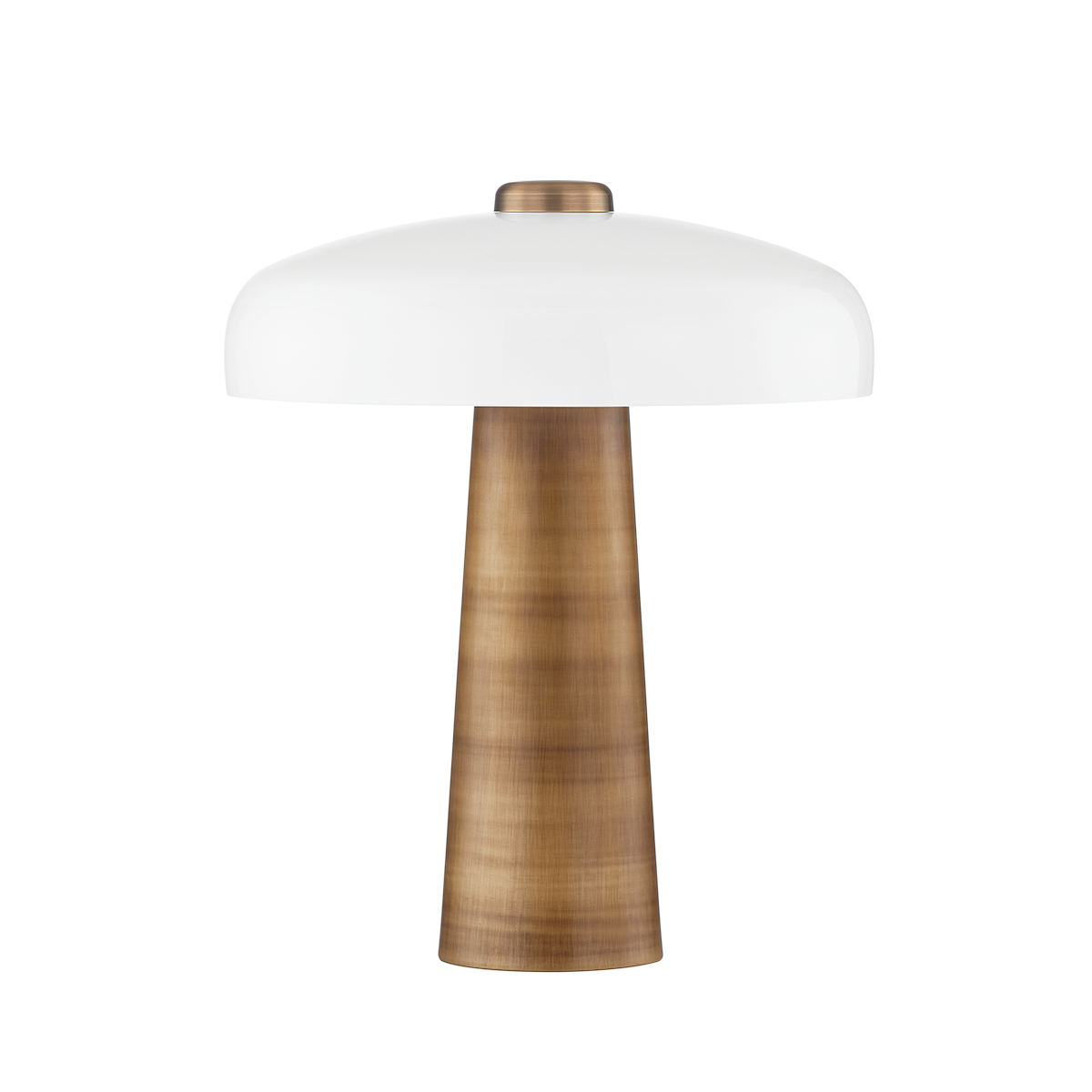 Table lamp in steel and patinated brass 41x48cm Lush - Troy Lighting