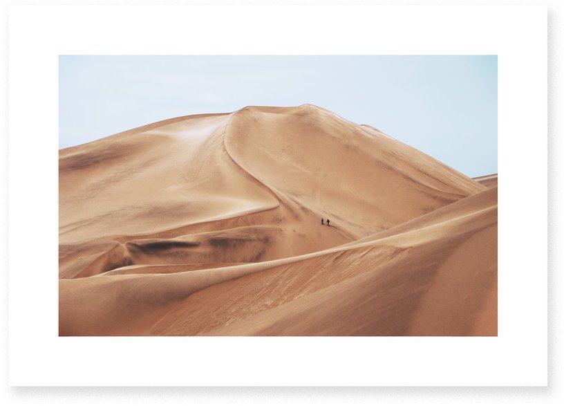 Affiche Dune - Le Renard - The Cool Republic