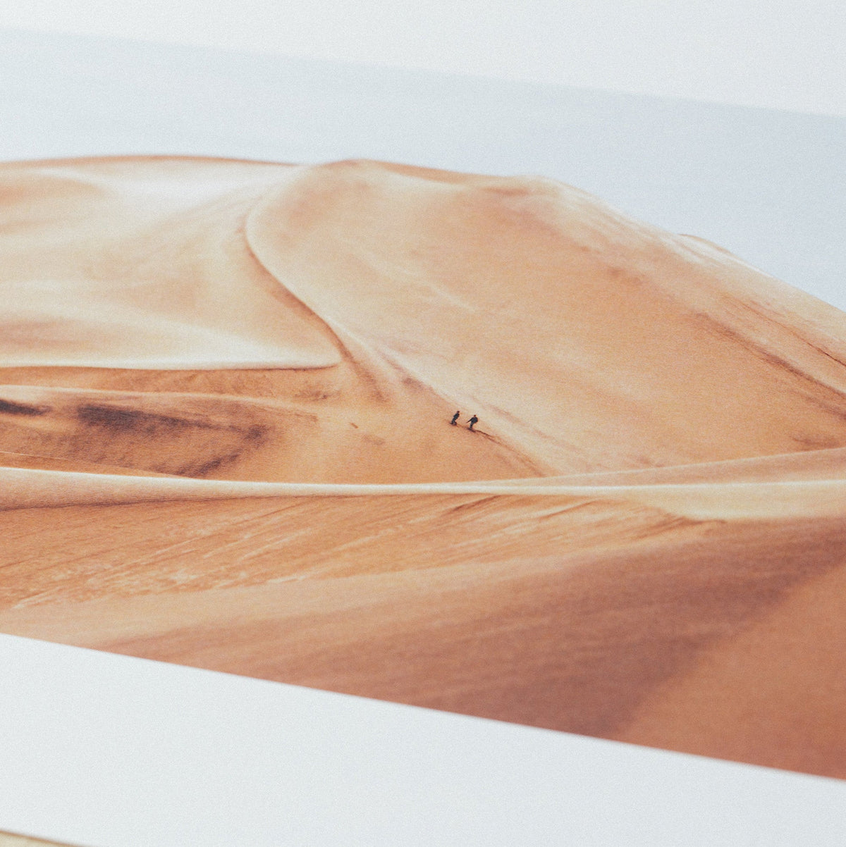 Affiche Dune - Le Renard - The Cool Republic