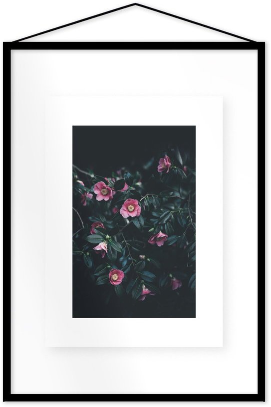 Affiche Flowers encadrée Moebe noir A2 - Le Renard - The Cool Republic