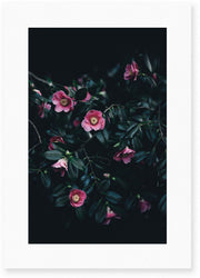 Affiche Flowers - Le Renard - The Cool Republic