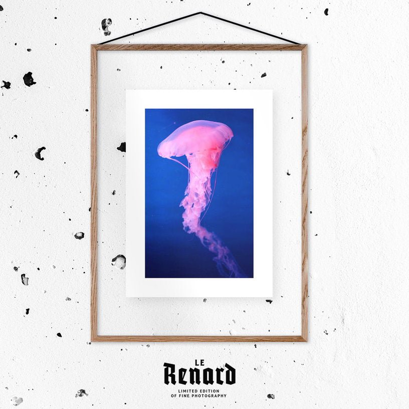 Affiche Foggy encadrée Moebe chêne A2 - Le Renard - The Cool Republic