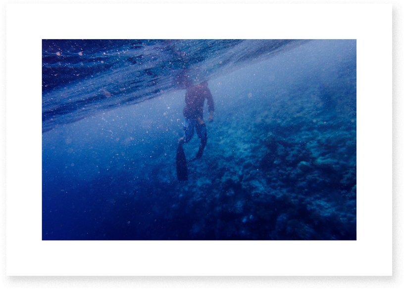 Affiche Grand Bleu - Le Renard - The Cool Republic