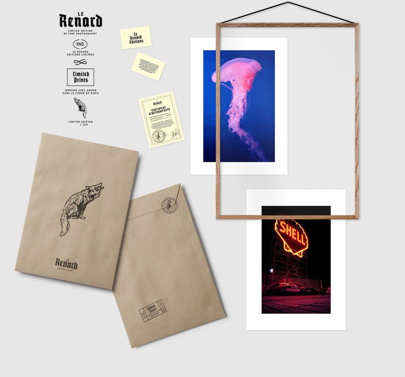 Affiche Medusa I - Le Renard - The Cool Republic