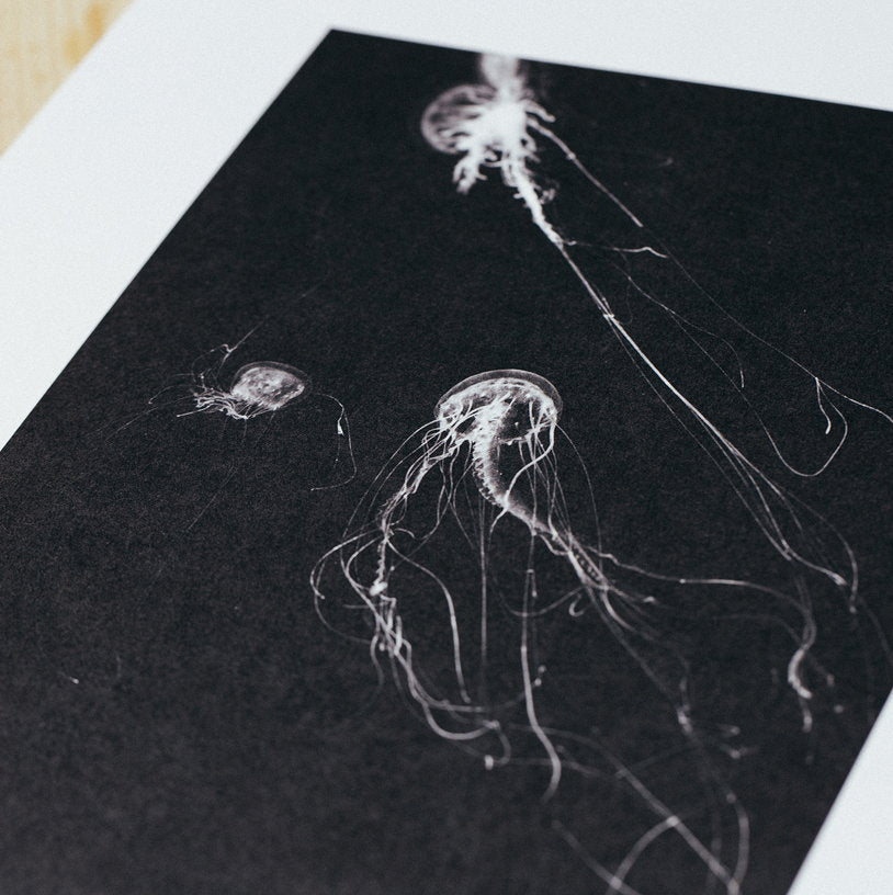 Affiche Medusa II encadrée Moebe chêne A2 - Le Renard - The Cool Republic