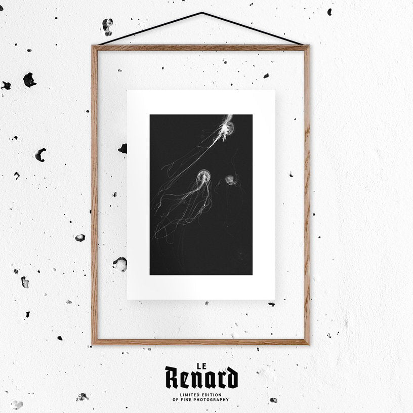 Affiche Medusa II encadrée Moebe noir A2 - Le Renard - The Cool Republic