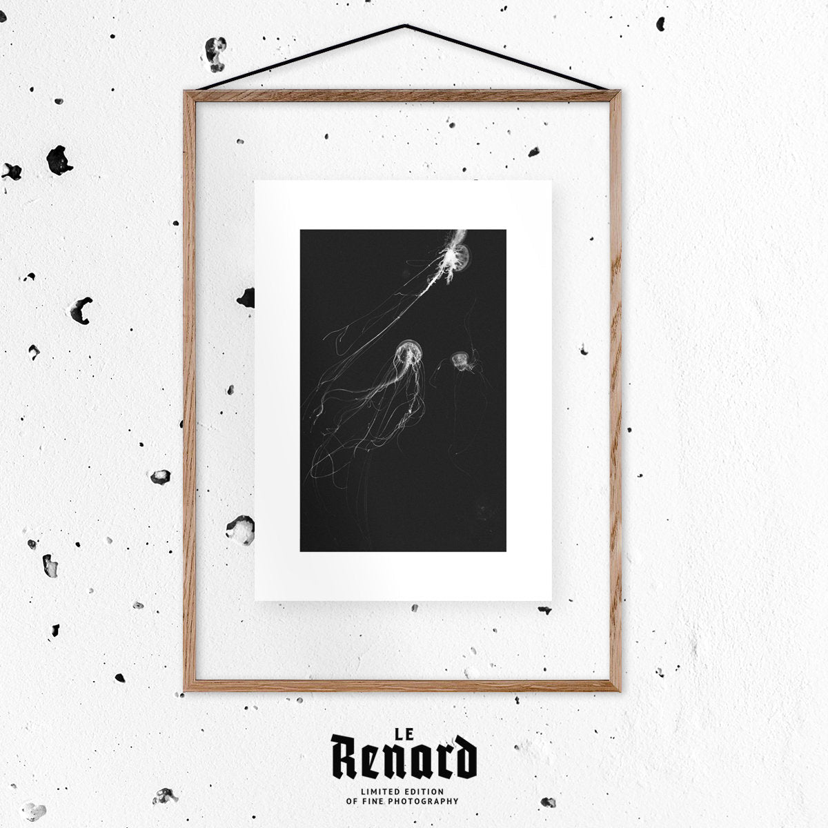 Affiche Medusa II encadrée Moebe noir A2 - Le Renard - The Cool Republic