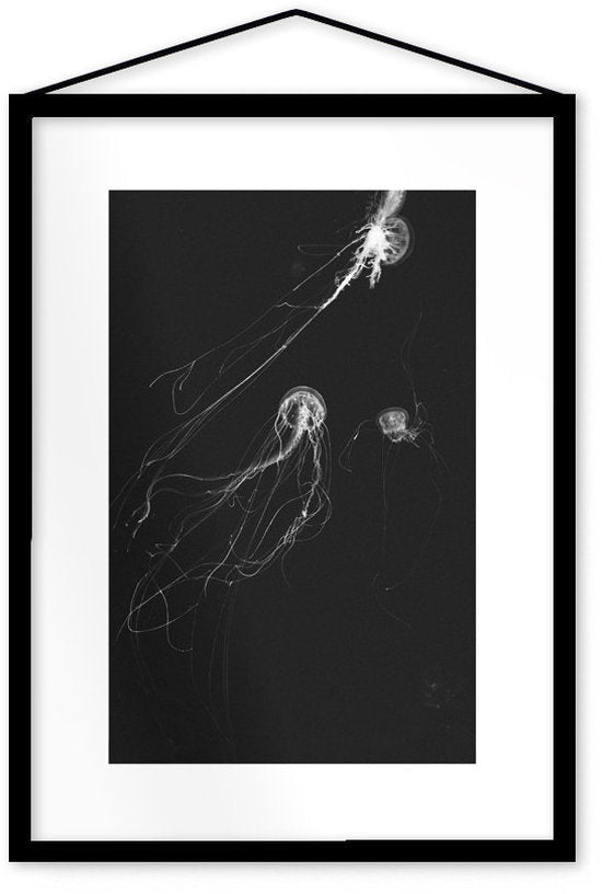 Affiche Medusa II encadrée Moebe noir A3 - Le Renard - The Cool Republic