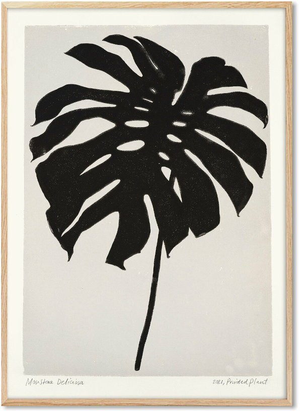 Affiche Monstera Deliciosa 50 x 70 cm PrintedPlant - PSTR Studio - The Cool Republic