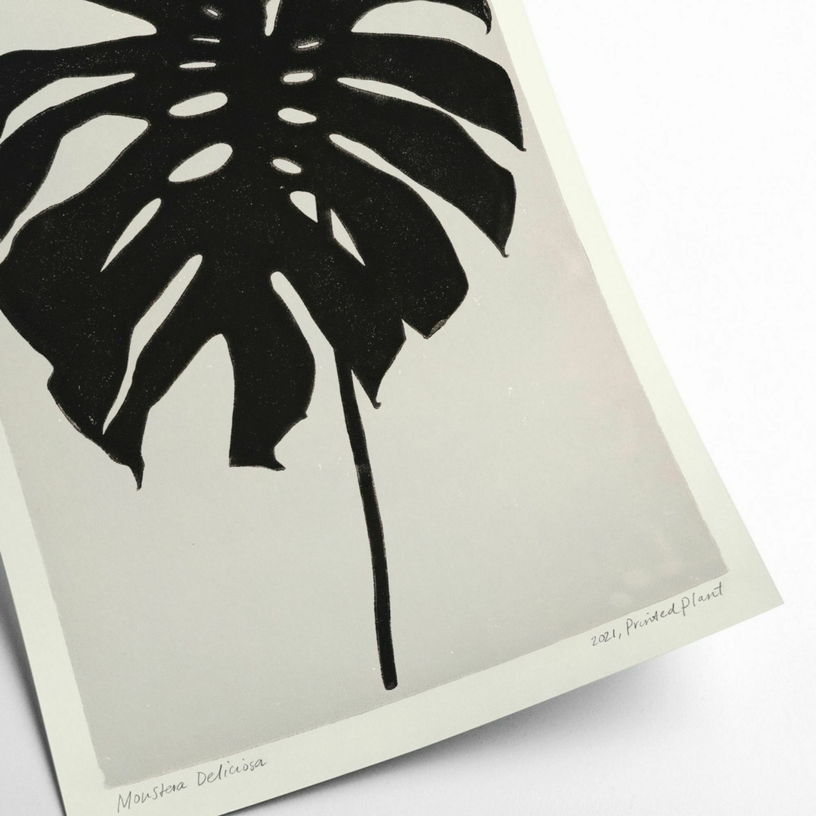 Affiche Monstera Deliciosa 50 x 70 cm PrintedPlant - PSTR Studio - The Cool Republic