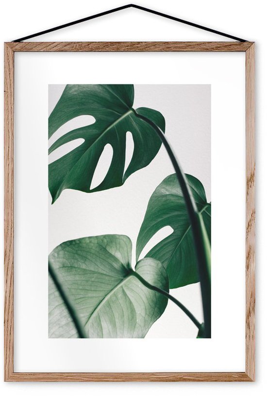 Affiche Monstera encadrée Moebe chêne A3 - Le Renard - The Cool Republic