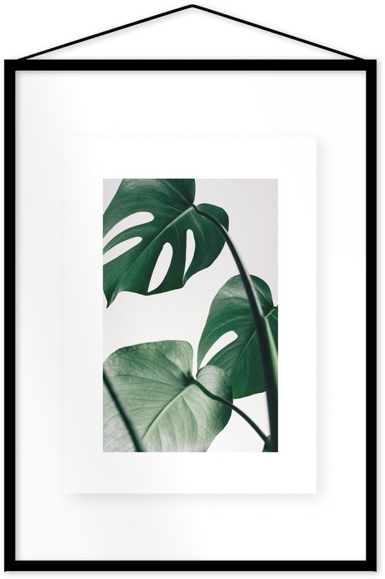Affiche Monstera encadrée Moebe noir A2 - Le Renard - The Cool Republic
