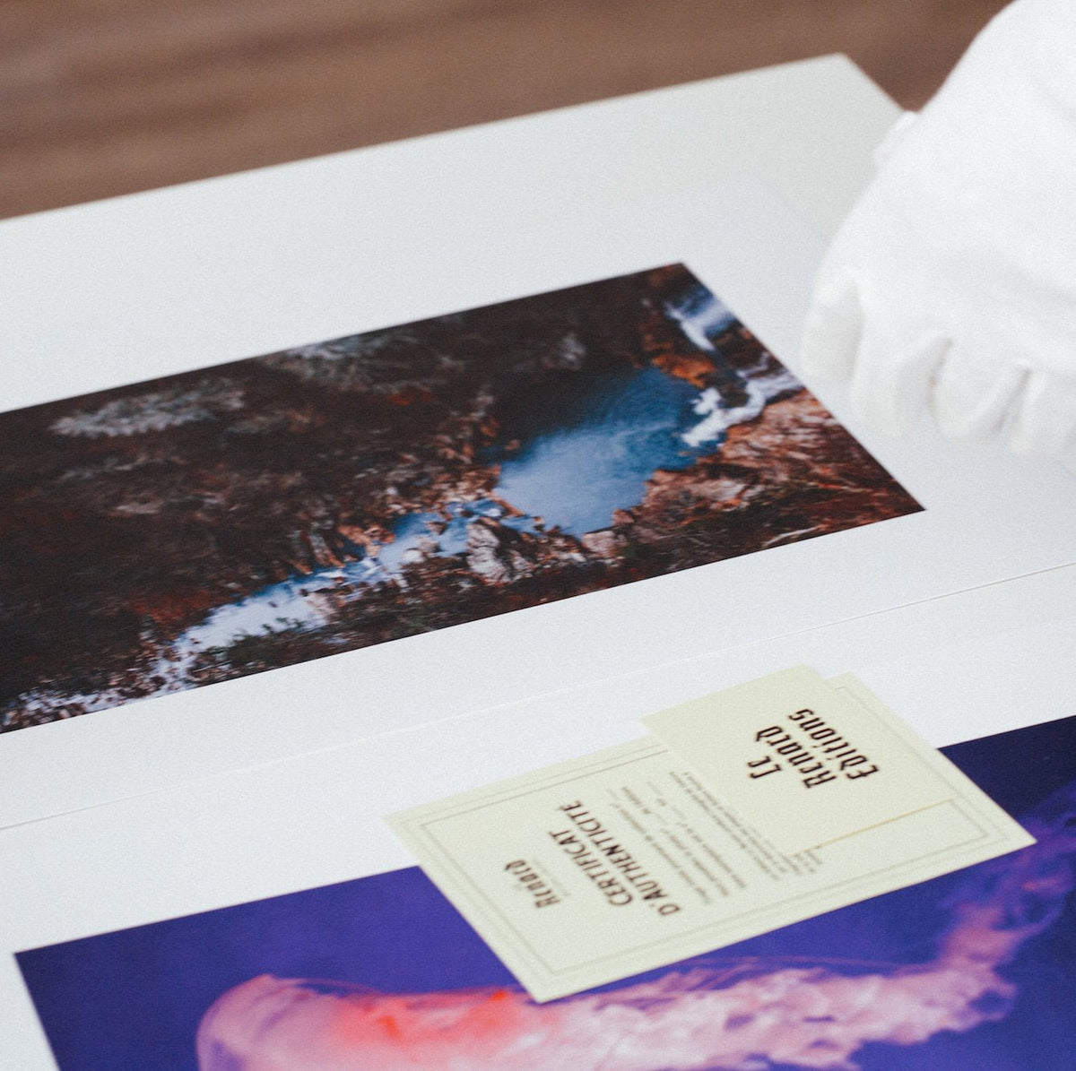 Affiche Monstera encadrée Moebe noir A3 - Le Renard - The Cool Republic
