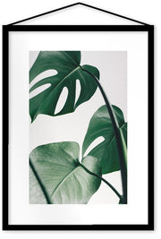 Affiche Monstera encadrée Moebe noir A3 - Le Renard - The Cool Republic
