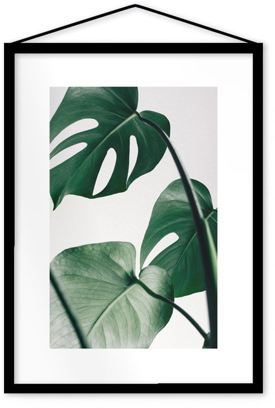 Affiche Monstera encadrée Moebe noir A3 - Le Renard - The Cool Republic