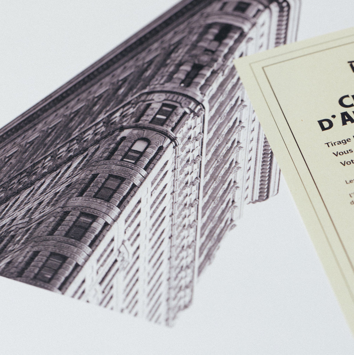 Affiche The Flatiron Building NY - Le Renard - The Cool Republic
