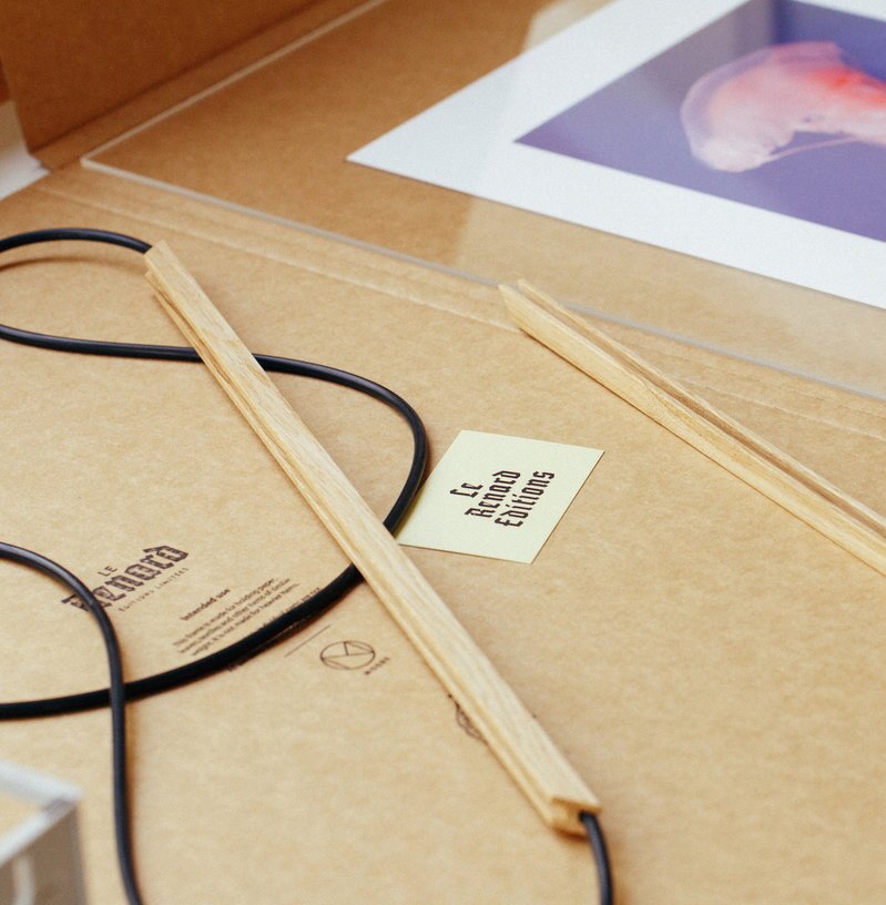 Affiche Tropical Fishes encadrée Moebe chêne A3 - Le Renard - The Cool Republic