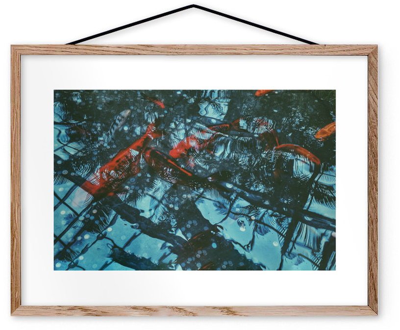 Affiche Tropical Fishes encadrée Moebe chêne A3 - Le Renard - The Cool Republic