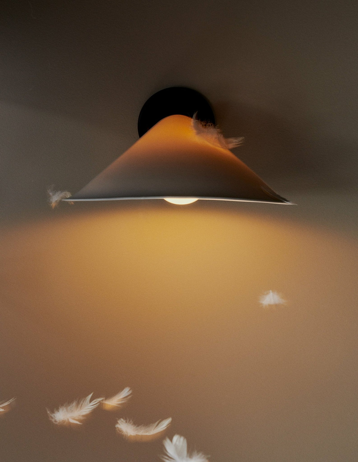 Applique murale en aluminum noir et polycarbonate Plume - DCW Editions - The Cool Republic