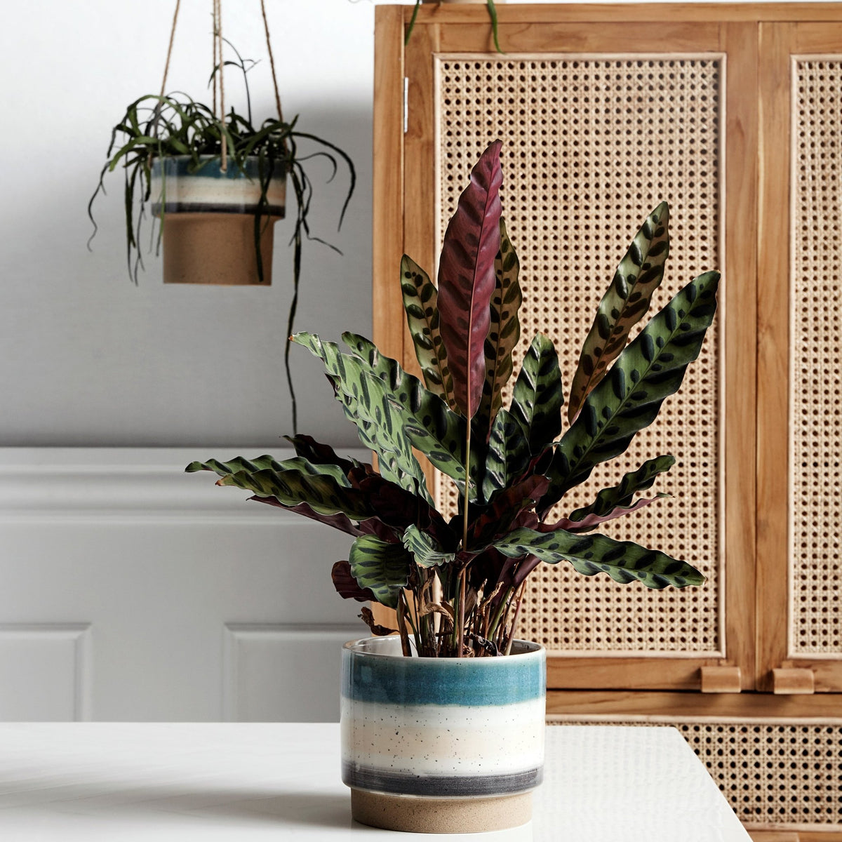 Cabinet en teck et cannage - Nordal - The Cool Republic