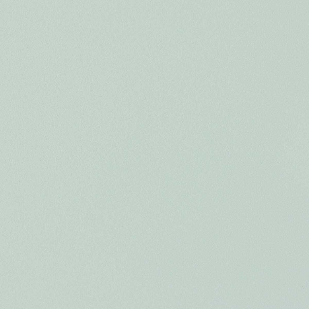 Chair with mint green recycled plastic arms and oak legs AAC 222 2. 0 - HAY - The Cool Republic