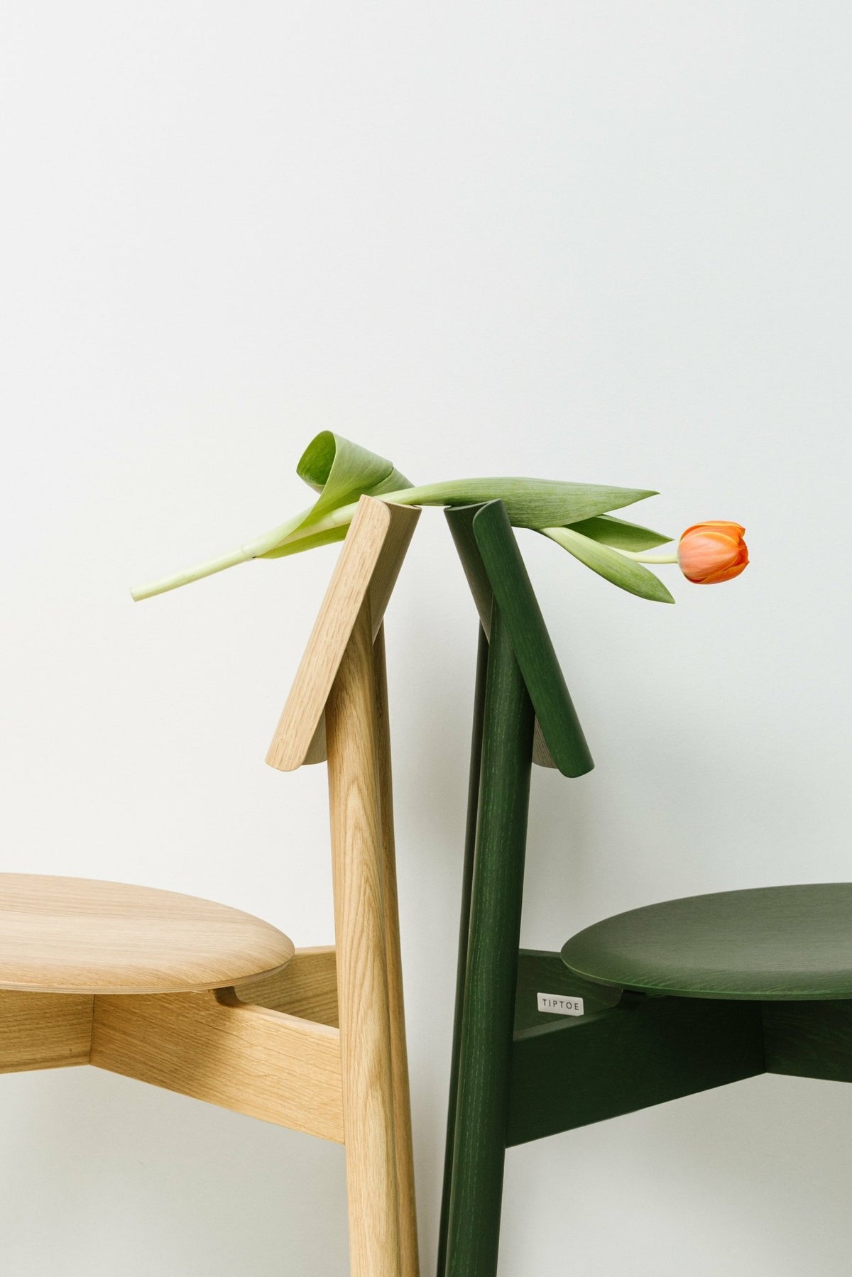 Chaise en chêne vert sapin éco-certifié SSD - TIPTOE - The Cool Republic