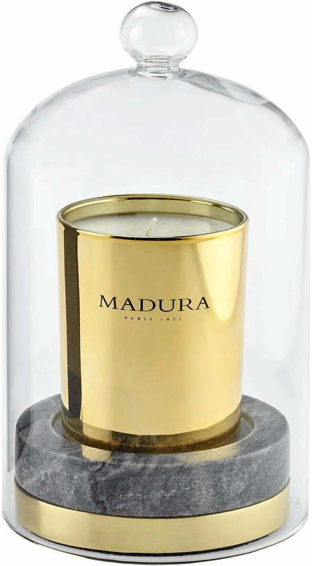 Cloche En Verre Agatha Transparent - Madura - The Cool Republic
